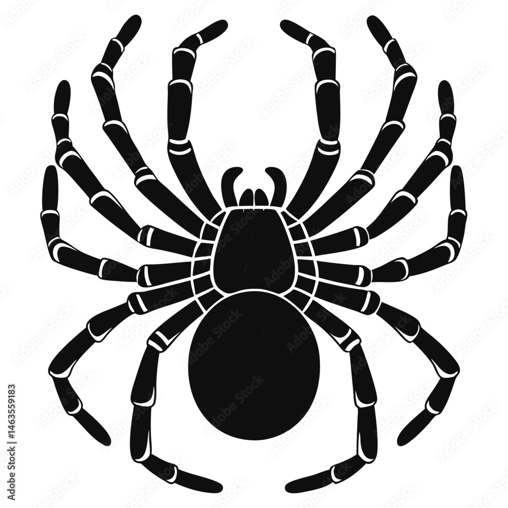 Obraz premium Scenic Driveway Through Mountains