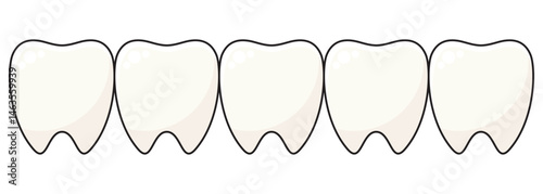虫歯のない健康な歯を並べたベクターイラストセット