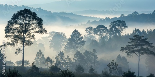 Misty Mountain Forest Silho...