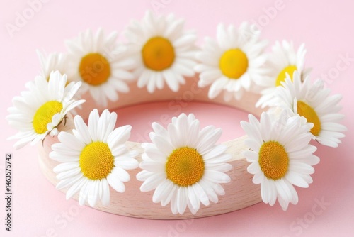 Arrange Daisies Around Wooden Ring on Pink Backdrop for Springtime concept