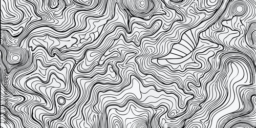 Abstract topographic map contour lines black and white vector illustration background