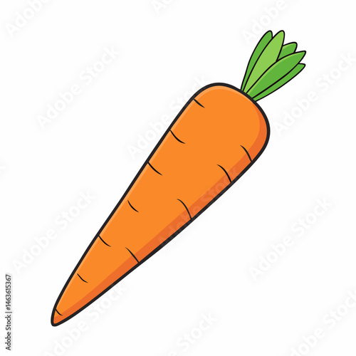 carrot vector illustration