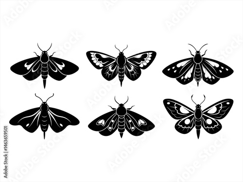 moth sihouette black vector bundle