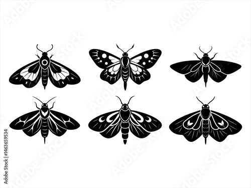 moth sihouette black vector bundle