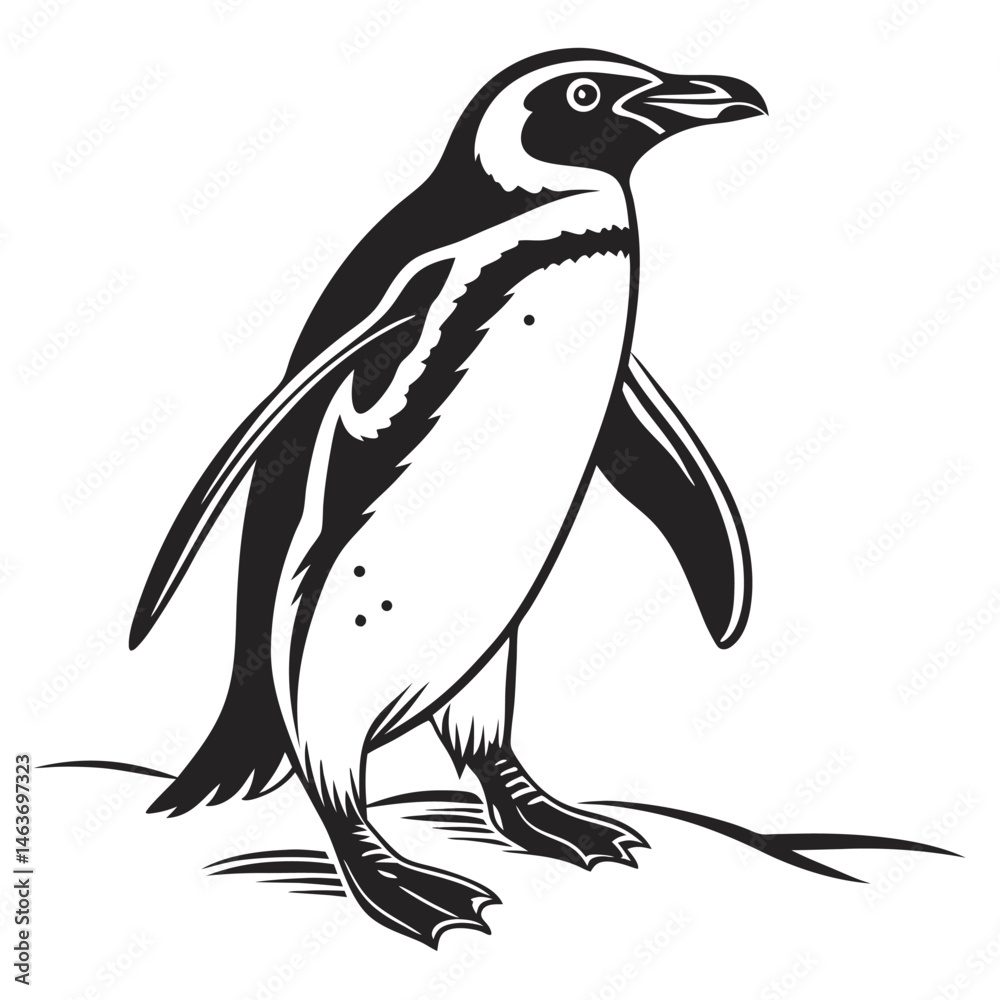 Obraz premium penguin vector illustration