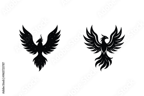 Elegant silhouettes of phoenix birds with stars and detailed feathers against white background