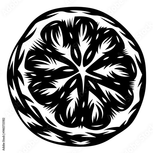 Monochrome cross section illustration of an orange or citrus fruit segment