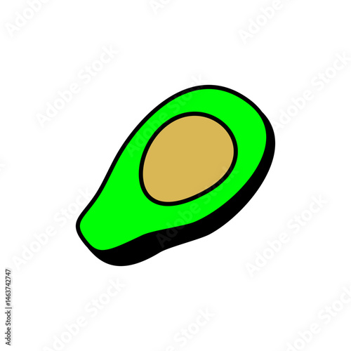 Avocado illustration