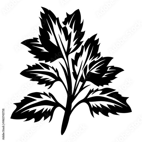 Black and white illustration of stylized leaves on a central stem