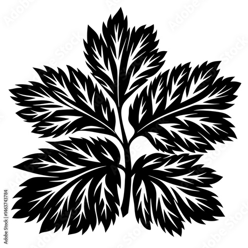 Monochrome graphical illustration of a plant with intricate leaf structures