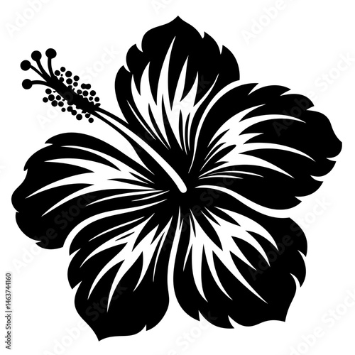Elegant Single Black and White Hibiscus Flower Graphic Illustration Design