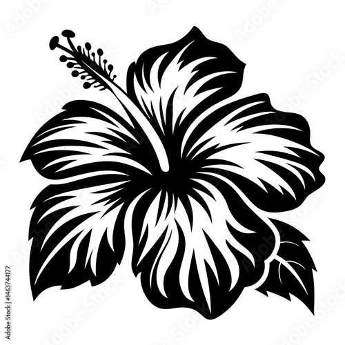 Elegant Black and White Hibiscus Flower Illustration with Stylized Petals