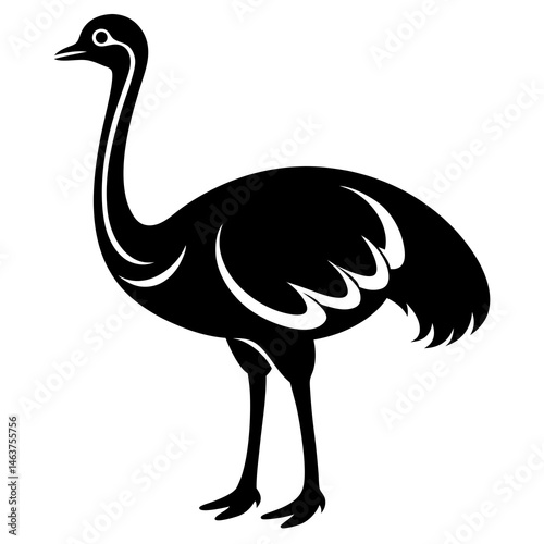 ostrich vector illustration