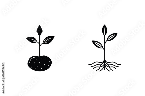 Black and white line art illustrations of growing plants with different root systems