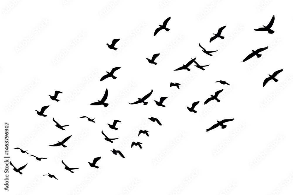 Fototapeta premium Flying Birds Silhouette Vector