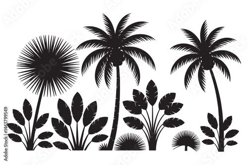 Palm Tree Silhouettes  Tropical Island Vector