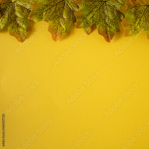 Four green leaves stand decoratively on a yellow table