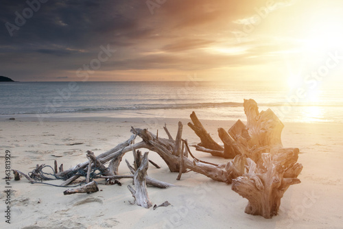 Sunset,Blue sea and blue sky with clouds nature background, A piece of driftwood