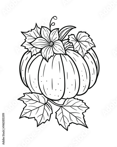 Detailed pumpkin line art with floral and leaf accents design.