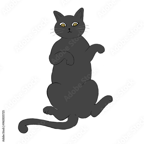 Illustration of a Russian Blue cat lying on its back, illustration of a gray cat