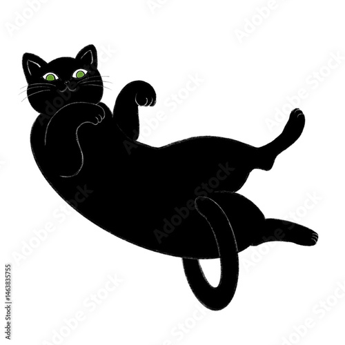 a black cat lying on its back with its belly up, an illustration of a black cat facing upward, an illustration of a black cat