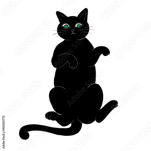 a black cat lying on its back with its belly up, an illustration of a black cat facing upward, an illustration