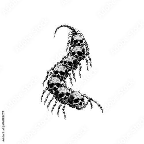 Skulls Centipede hand drawing vector isolated on background.