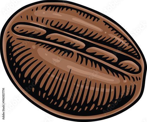 coffee beans vector hand drawn illustration