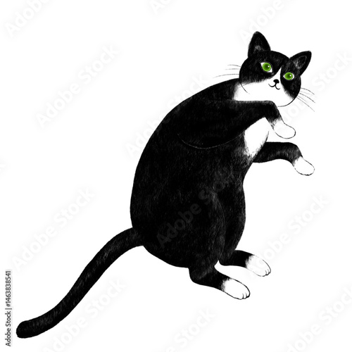 Illustration of a bicolor cat lying on its side, Illustration of a purring bicolor cat, Illustration of a lounging bicolor cat