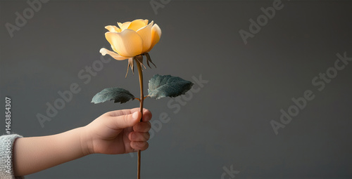 Obraz na płótnie Child hand holding yellow rose with green leaves, side view, against plain gray background, expressing innocence and tenderness in simple, minimalistic style w salonie