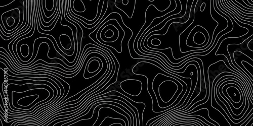 Mountain topographic terrain map background with white lines texture. Luxury white abstract line art background vector.  Design illustration for wall art, fabric, packaging, web, banner, app, wallpape