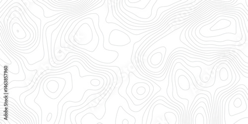 Abstract white topographic map background with lines, White wave paper curved reliefs abstract background,  The topographic map contour in lines isolated,  Background of the topography map.