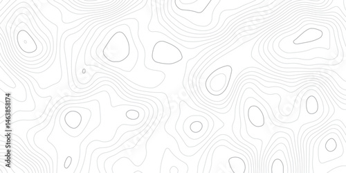 Abstract white topographic map background with lines, White wave paper curved reliefs abstract background,  The topographic map contour in lines isolated,  Background of the topography map.