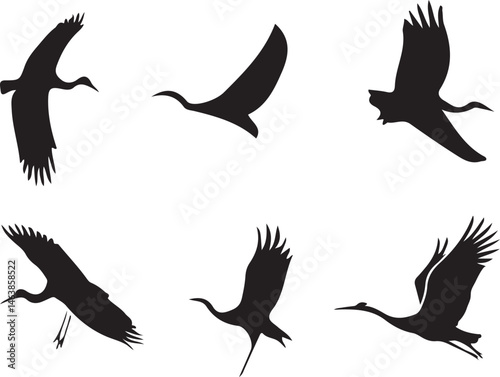 6 cranes in elegant silhouette style, perfect for nature, wildlife, and Asian-themed designs. High-quality vector EPS file, fully scalable.