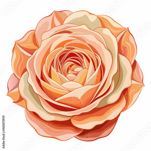 A high-quality vector of a Juliet rose in full bloom with layered petals in soft peach tones, isolated on a white background