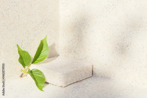 Obraz na płótnie Rectangular stone podium against the background of a light stone wall and green sakura leaves. Cosmetic product display backdrop for luxury beauty. Minimalism style. w salonie