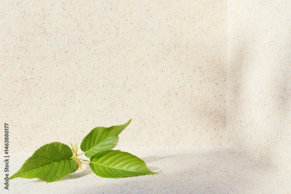 Rectangular stone podium against the background of a light stone wall and green sakura leaves. Cosmetic product display backdrop for luxury beauty. Minimalism style.