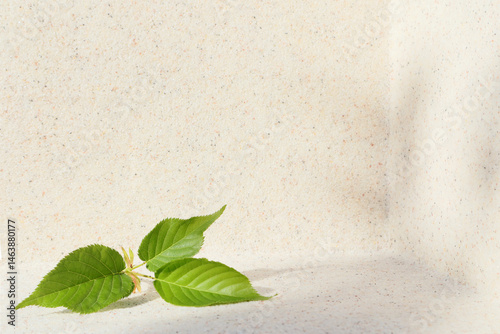 Obraz na płótnie Rectangular stone podium against the background of a light stone wall and green sakura leaves. Cosmetic product display backdrop for luxury beauty. Minimalism style. w salonie