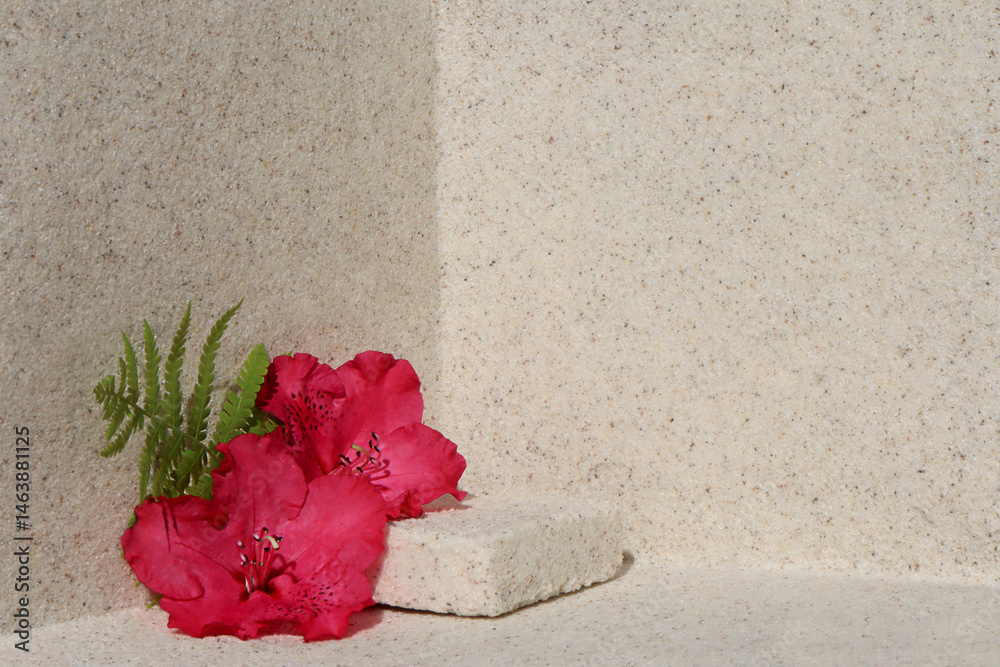 Rectangular stone podium against the background of a light stone wall and a pink rhododendron flower. Cosmetic product display backdrop for luxury beauty. Minimalism style.