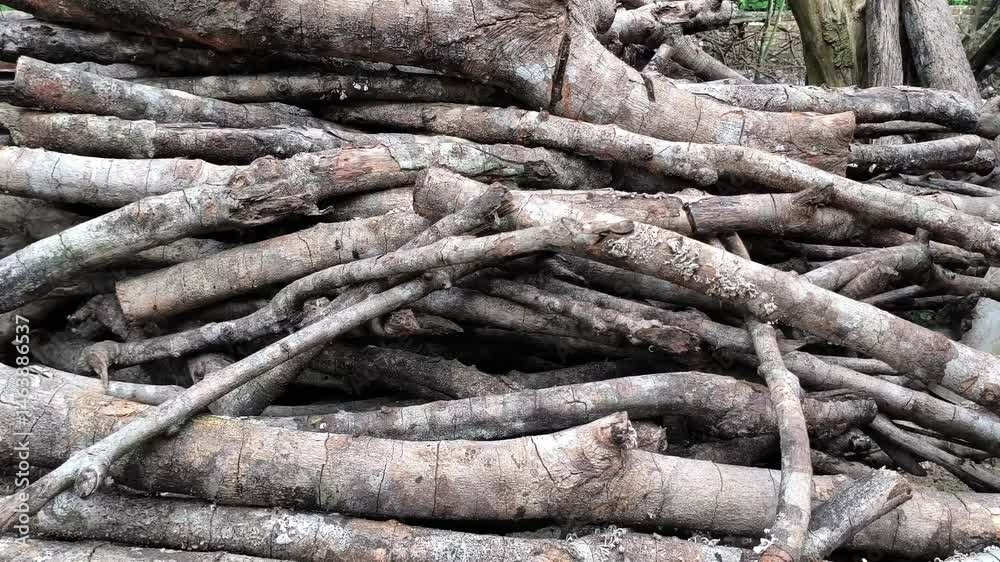 pile of firewood pile of firewood