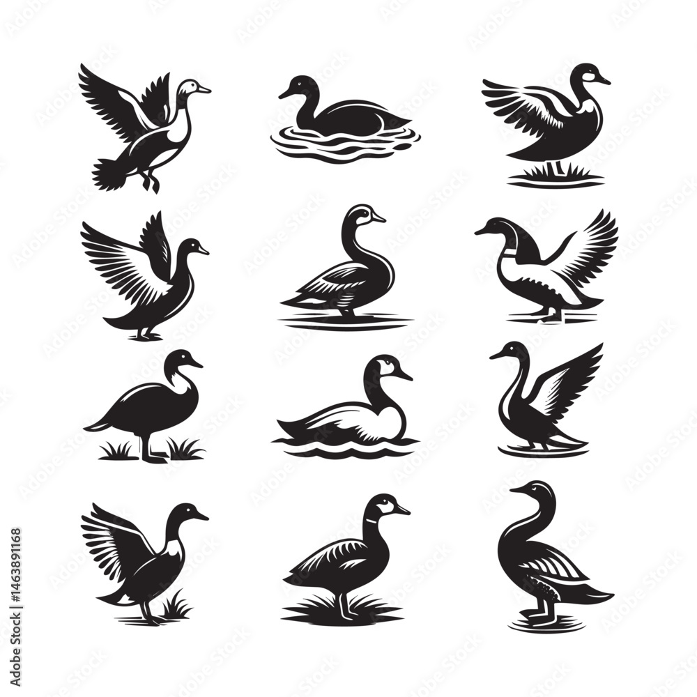 Obraz premium Black and white silhouette of Ducks vector illustration isolated on a white background