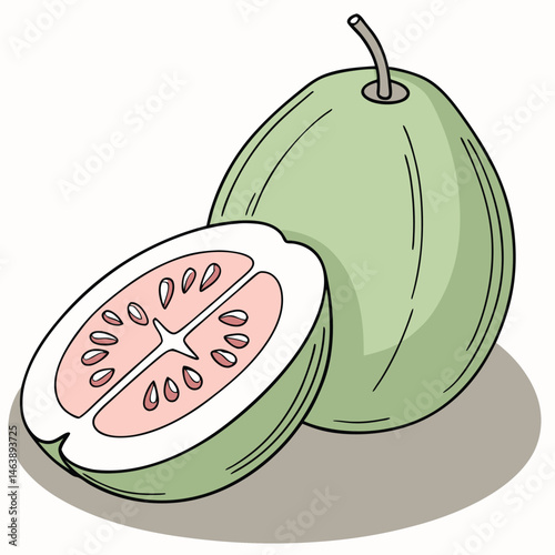 illustration of watermelon