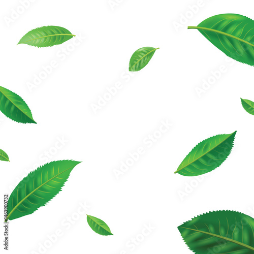 Green tea leaf border frame