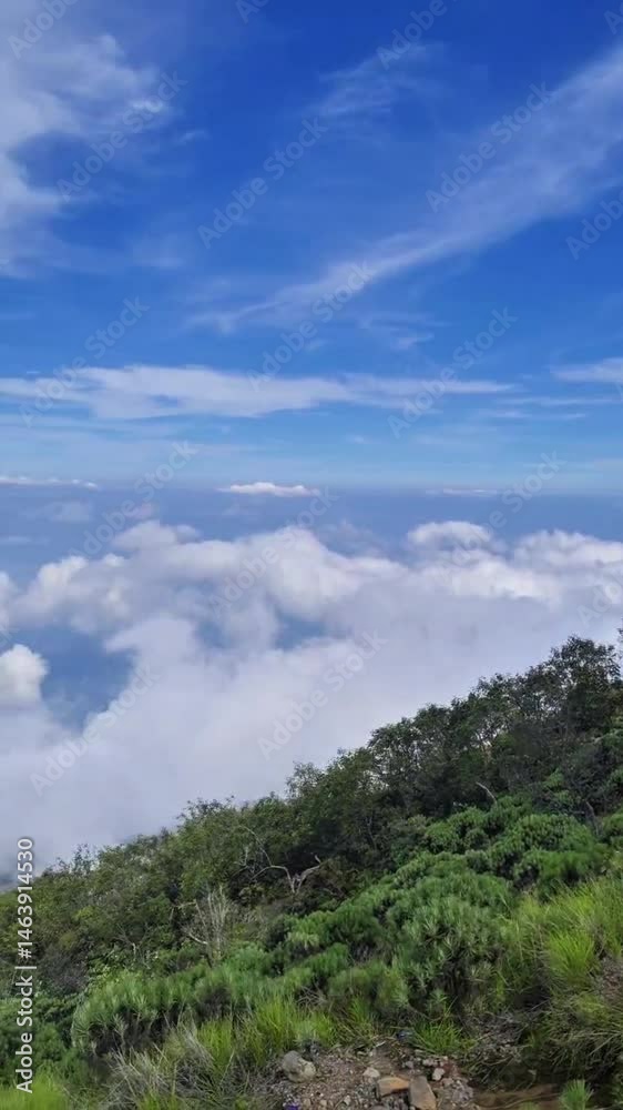 Above the Clouds: Mountain View with Blue Sky and Lush Forest Above the Clouds: Mountain View with Blue Sky and Lush Forest