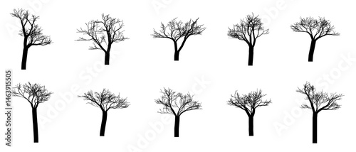 Tree Section Without Leaves Silhouette Black Filled - Vector Illustration Icon.