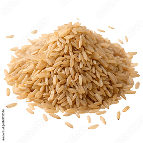 Obraz na plátně Brown integral uncooked rice Pile isolated on white background