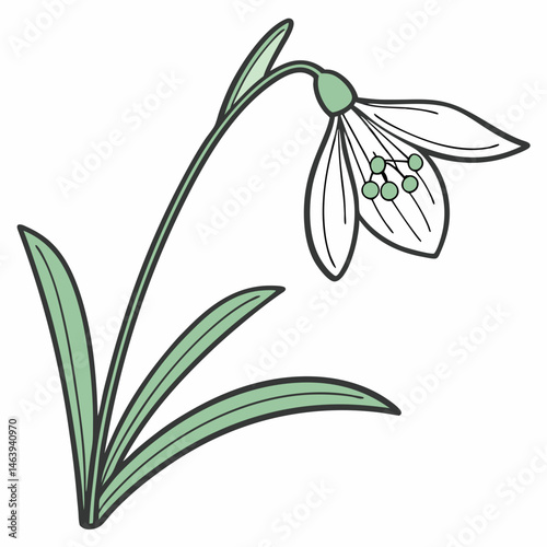 branch of cherry blossom,  illustration of a lily, illustration of a flower, abstract floral background