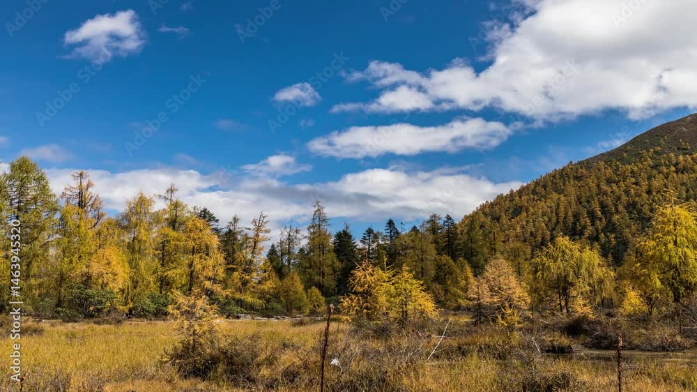 Discover stunning autumn colors in West Sichuan with dynamic timelapse Discover stunning autumn colors in West Sichuan with dynamic timelapse