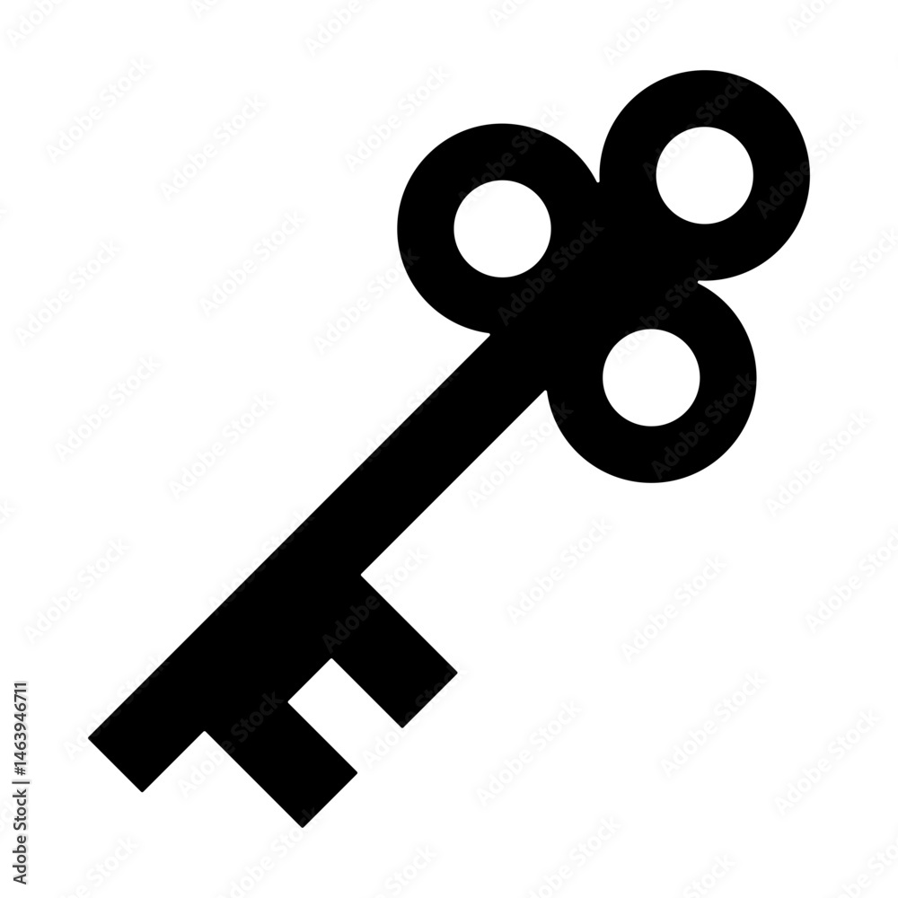 Obraz premium Key Icon
