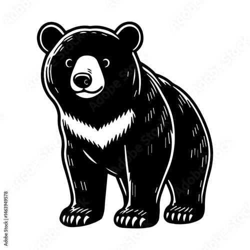 Formosan Black Bear Illustration
